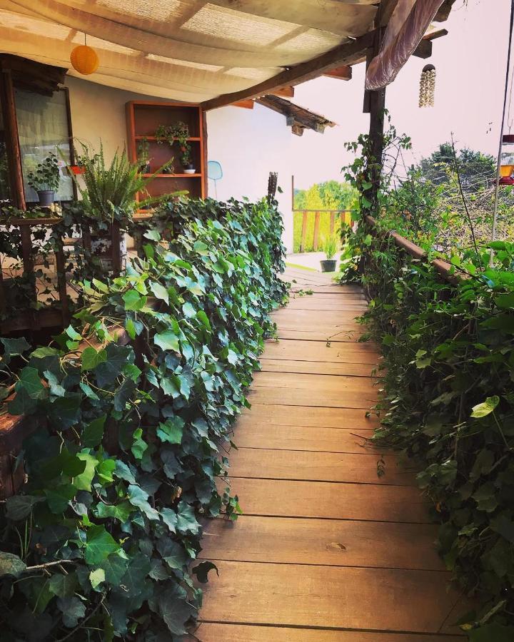 Casa Kitsch Hotel ซากัตลัน ภายนอก รูปภาพ
